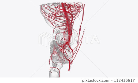 he aortic valve is one of four heart valves and is the final one encountered by oxygenated blood as it leaves the heart he aortic valve is one of four heart valves and is the final one encountered by oxygenated blood as it leaves the heart 112436617