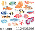 Set of hand drawn watercolor colorful fishes isolated on white background. Marine life, water world 112436896