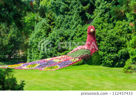 Peacock made of flowers on the island of flowers Mainau on Lake Constance, Germany 112437433