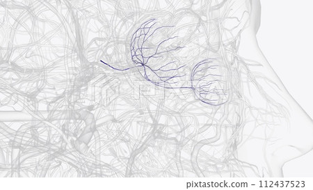 Retinal vein occlusion is a blockage of the small veins that carry blood away from the retina Retinal vein occlusion is a blockage of the small veins that carry blood away from the retina 112437523