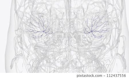 Retinal vein occlusion is a blockage of the small veins that carry blood away from the retina Retinal vein occlusion is a blockage of the small veins that carry blood away from the retina 112437556