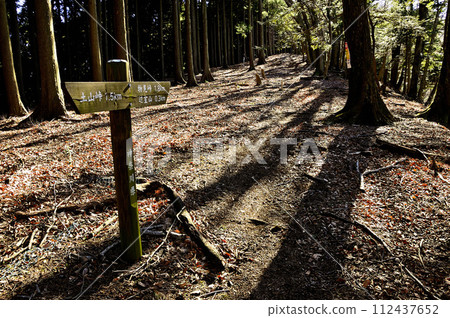 丹澤的目室山、樹影綿延的冬季山區“邊室山橫貫路線” 112437652