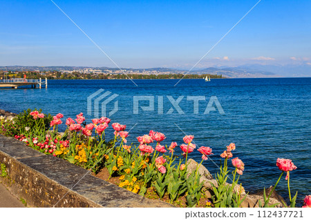 Beautiful colourful spring tulips on the background of Alps Mountains and Lake Geneva in Morges, Switzerland 112437721