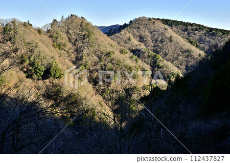 從丹澤大山眺望沐浴著朝陽的根室山 從丹澤大山眺望沐浴著朝陽的根室山 112437827