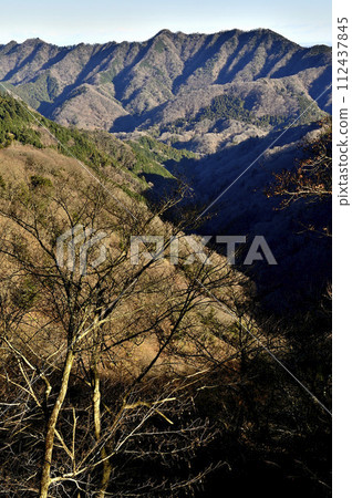 丹澤的野野:從Nabearashi東嶺看到的宗州阿爾卑斯山 丹澤的野野:從Nabearashi東嶺看到的宗州阿爾卑斯山 112437845