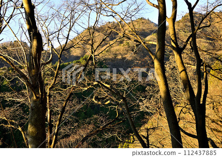 早晨的山區:丹澤大山三嶺森林 早晨的山區:丹澤大山三嶺森林 112437885