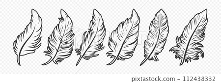 Vector Black and White Fluffy Feather Logo Icons. Silhouette Feather Set Closeup Isolated. Design Template of Flamingo, Angel, Bird Feather. Lightness and Freedom Concept 112438332