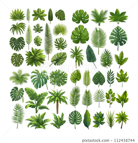 AI-generated content. Tropical leaves big budnle. Detailed vector collection of plants in flat style, botanical elements, scrapbooking, for cosmetics, design, illustrations, spa, isolated on white 112438744