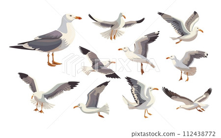 AI-generated content. Seagull, seabird, vector flat set. Feathered in different poses, flying, landing, taking off. Albatross in detailed cartoon style, illustration isolated on white background 112438772