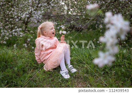 Little Caucasian girl sitting on grass in flowering garden. Child girl 4-5 years old with two ponytails wears pink dress surrounded by flowering trees. 112439543