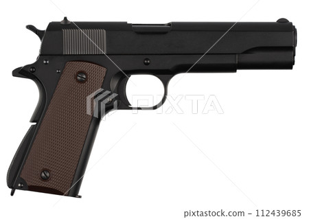 Automatic Pistol, Caliber .45 112439685