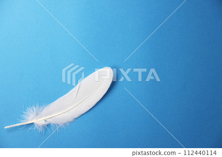 羽毛和複製空間 112440114