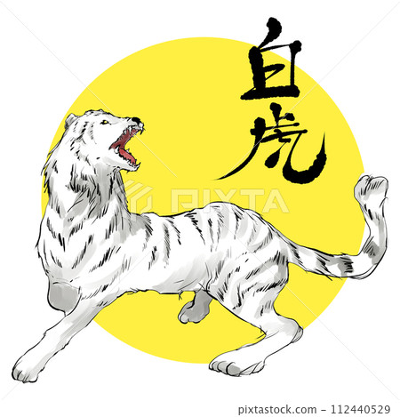 白虎插畫素材 112440529