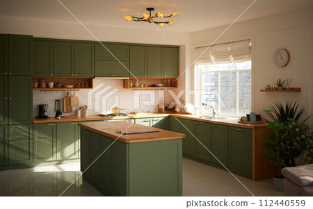 a sun-filled green kitchen 112440559
