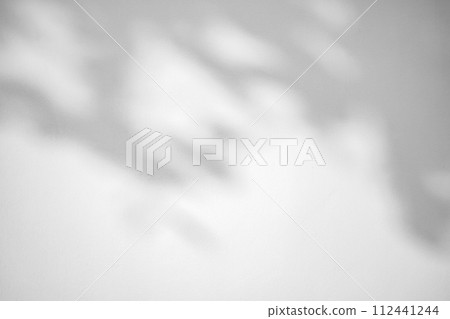 Abstract natural tree leaves shadow on white wall background Abstract natural tree leaves shadow on white wall background 112441244