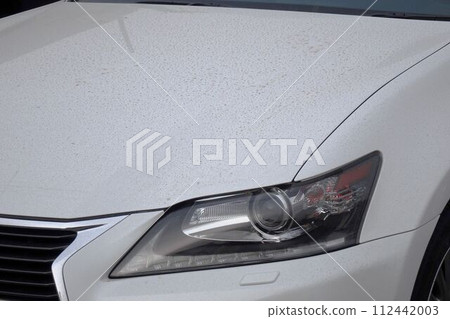 dirty car hood 112442003