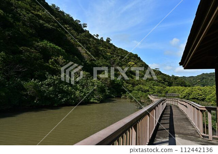 從大浦紅樹林路出發 112442136