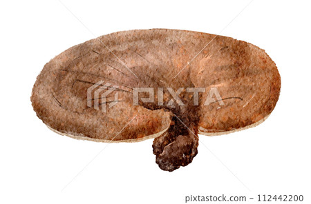 Watercolor illustration of Reishi (Reishi) 112442200