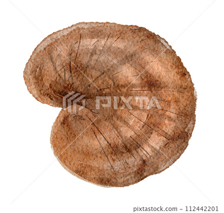 Watercolor illustration of Reishi (Reishi) 112442201
