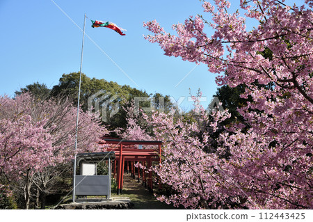 稻羽神社（日本最古老的稻荷遺址）【和歌山縣有田市】 112443425