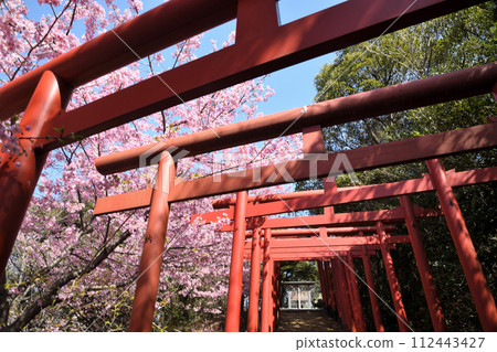 稻羽神社（日本最古老的稻荷遺址）【和歌山縣有田市】 112443427