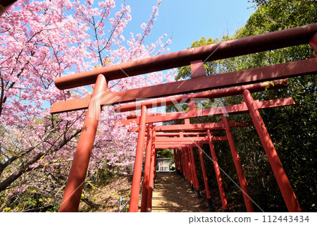 稻羽神社（日本最古老的稻荷遺址）【和歌山縣有田市】 112443434