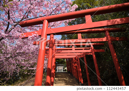 Inabane Shrine (Japan's oldest Inari site) [Arita City, Wakayama Prefecture] 112443457