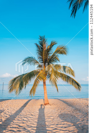 Beach and coconut trees on the island Beach and coconut trees on the island 112445194