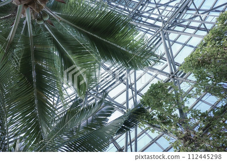 夢之島熱帶植物園新木場 夢之島熱帶植物園新木場 112445298