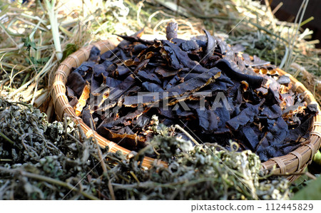 raw material for hair herbal shampoo from natural ingredient as 112445829