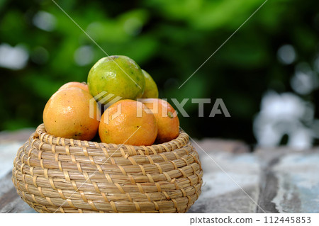 Isolated pink lemon fruit cut in half on green background 112445853