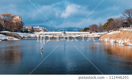 京都鴨川的冬景 京都鴨川的冬景 112446201