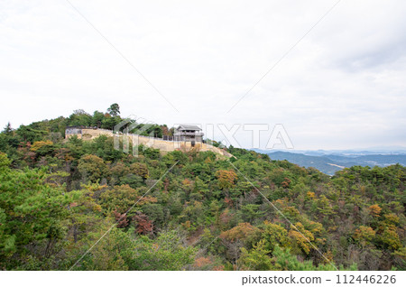 岡山縣總社市古山城紀之城西門景觀 112446226