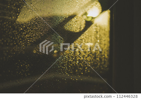 after the evening rain 112446328