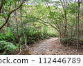 Ancient mountain castle, Kinojo Castle walking path, Soja City, Okayama Prefecture Ancient mountain castle, Kinojo Castle walking path, Soja City, Okayama Prefecture 112446789