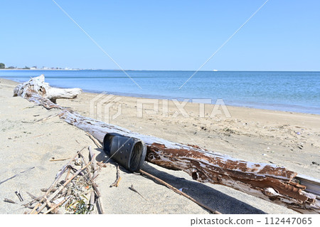 漂流木漂浮在沙灘上 漂流木漂浮在沙灘上 112447065