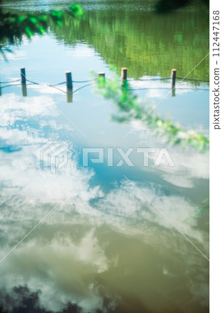 Clouds and leaves reflected in the pond 112447168