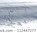 雪地上野生動物的腳印 112447277