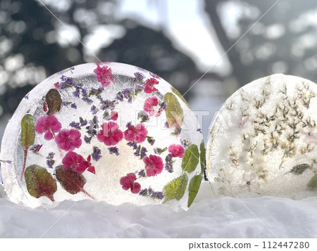 Ice herbarium studded with flowers and leaves 112447280