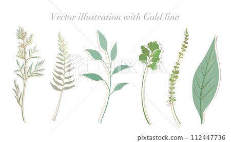 An illustration set of plants with gold line drawings and leaves in gentle colors. white background An illustration set of plants with gold line drawings and leaves in gentle colors. white background 112447736
