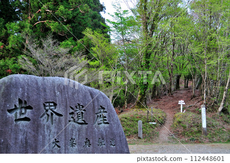 World Heritage Stone Monument (Mt. Tamaki, Katsuezaka Entrance) [Totsukawa Village, Nara Prefecture] 112448601