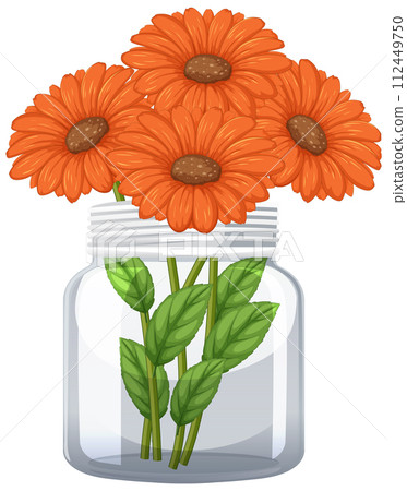 Orange Gerbera Daisies in Glass Jar Orange Gerbera Daisies in Glass Jar 112449750