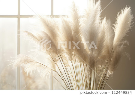 Pampas grass. Reed Plume Stem, Dried Pampas Grass, Decorative Feather Flower Arrangement for Home 112449884