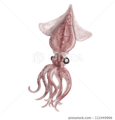 螢火蟲魷魚的插圖 112449906