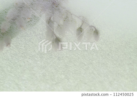 Collaboration of Japanese paper and Asebi flowers (background material) 112450025