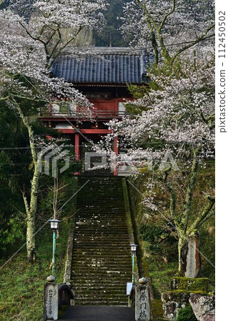 Joshoji Temple in bloom with cherry blossoms Joshoji Temple in bloom with cherry blossoms 112450502