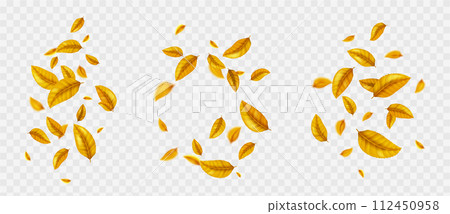 Flying on wind yellow realistic fall leaf isolated 112450958