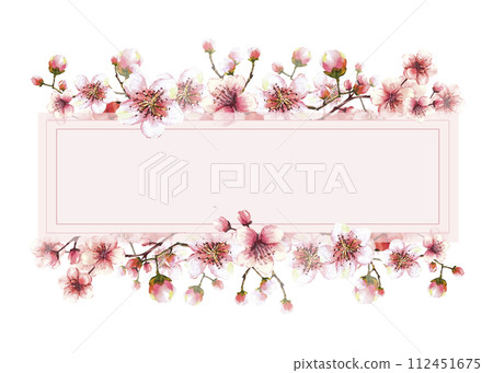 A branch from spring tree Hand drawn watercolor flowering sakura, Japanese cherry or apple buds, pink flowers illustration Springtime clipart Template for banner, card, label print Isolated background 112451675