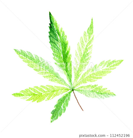 Green cannabis indica leaf painted in watercolor. Hand drawn marijuana illustration isolated on white background 112452196