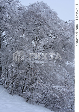 Mt. Hakuba with hoarfrost 112452301